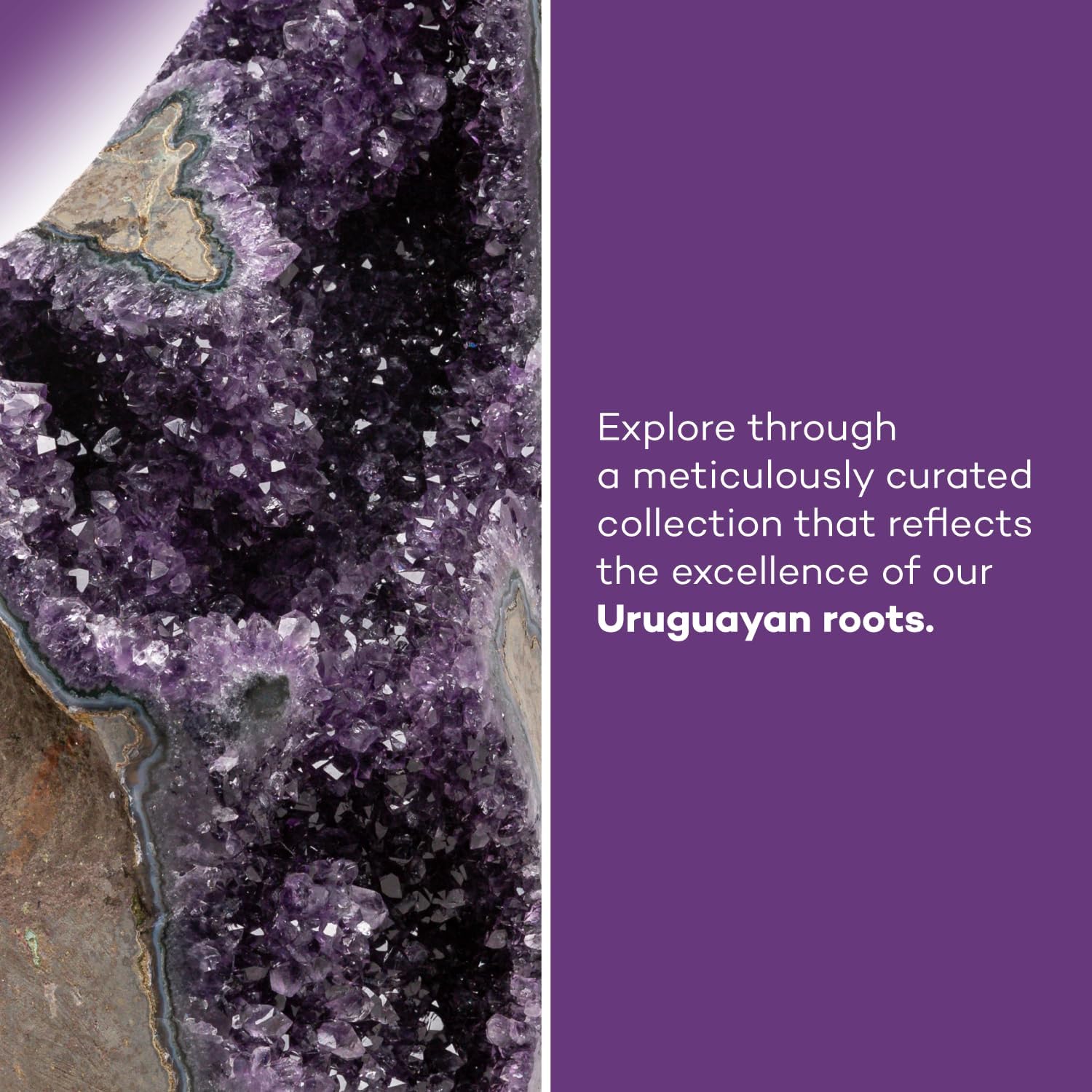 EMPORION 天然アメジスト (3ポンド~4ポンド) ウルグアイ原石石石 原石